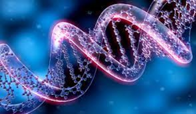 بیوشیمی، زیست شناسی سلولی، ژنتیک (QU)